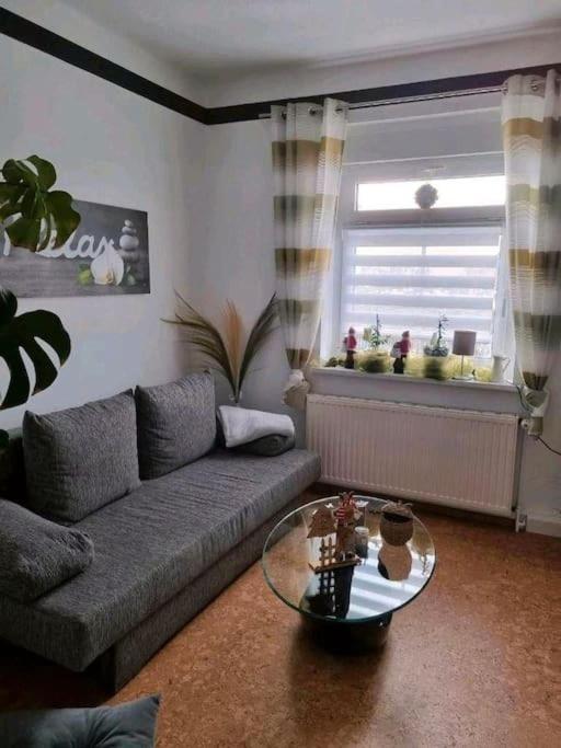 Ferienwohnung *Zur Weinbergstrasse* Lauta Exterior photo