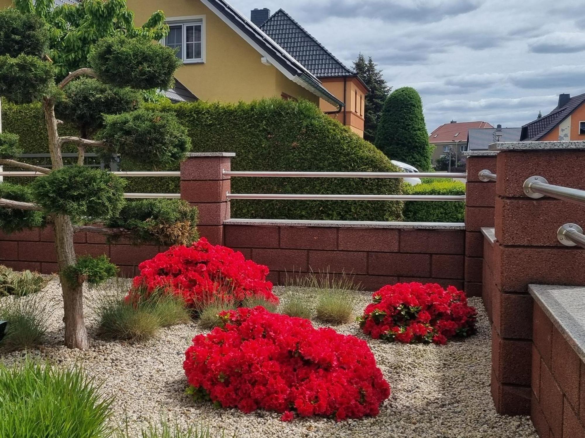 Ferienwohnung *Zur Weinbergstrasse* Lauta Exterior photo